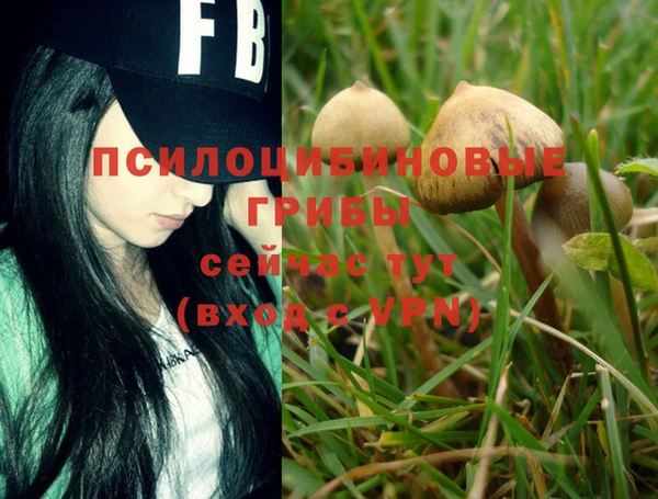марки nbome Магас