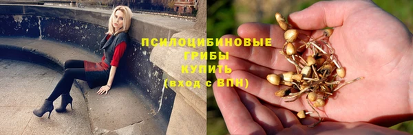 jwh Майский