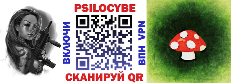 купить закладку  Льгов  Псилоцибиновые грибы Cubensis 