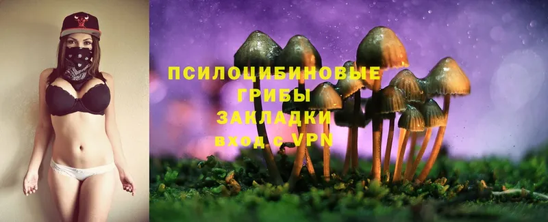 Псилоцибиновые грибы MAGIC MUSHROOMS  Льгов 